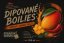 Dipované boilies  RS mango-chilli 20mm