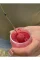 LT Baits EXTREME STRAWBERRY POWDER COLOR DIP 90 g