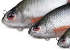 Gumová Nástraha Fox Rage Ultra-Realistic Roach Replicant  14cm-40g