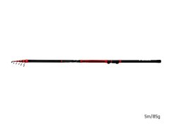 Delphin TELEPIKES 6m
