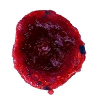 LK Baits CUC! RAISIN Wild Strawberry 50g