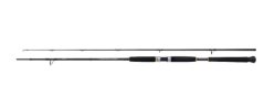 Shimano Rod Beastmaster AX Pilk 2,40m 100-200g 2pc