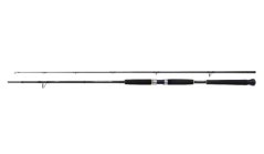 Shimano Rod Beastmaster AX Pilk 2,40m 40-95g 2pc