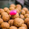 Fox Umělá nástraha Essentials Pop up Pink Corn 10ks jumbo