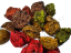 Krmné boilies 5 kg OLIHEŇ-BRUSINKA  24mm ČESKÝ PARTIKL