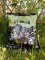 LT baits HALIBUT BANANA BOILIES 24MM 5KG