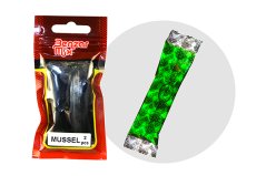 BENZAR method aroma mušle