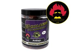 Boilies v dvojobalu - 180 g/20 mm/Anštajn