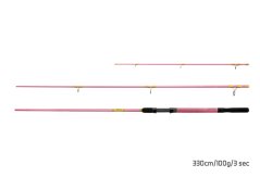 Delphin QUEEN Feeder + 3 špičky 3,6m 100g